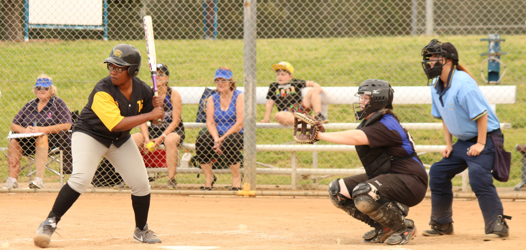 Baseball & Softball Arc UNSW Student Life