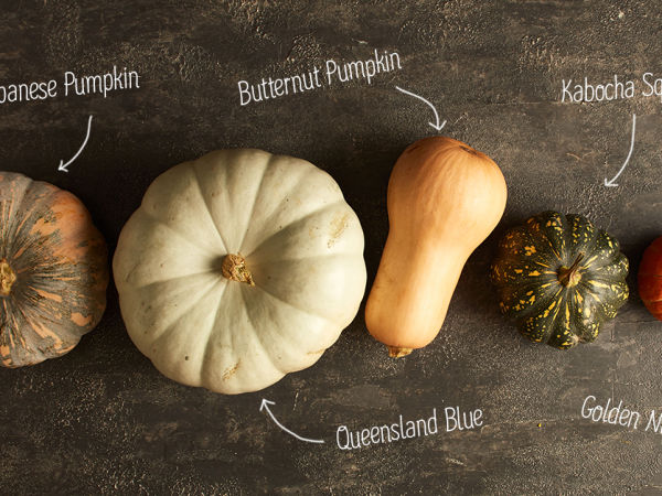 When you buy pumpkin, pick a good one: