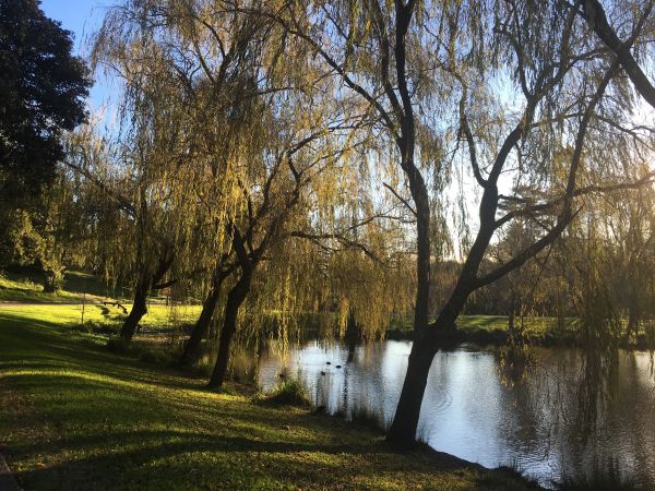 Centennial Parklands