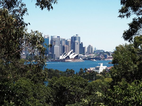 Taronga Zoo Wharf to Balmoral Beach