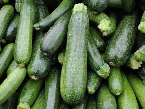 Choosing your zucchini 