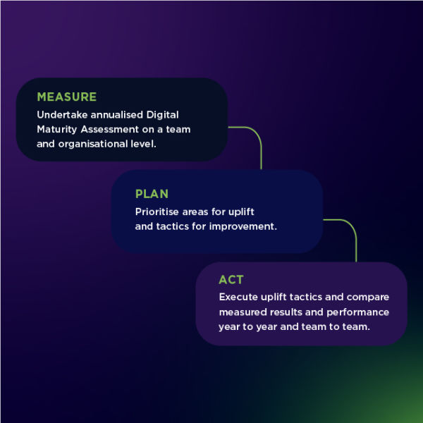 Digital Maturity Assessment Process