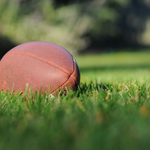 Australian Football League (AFL) 