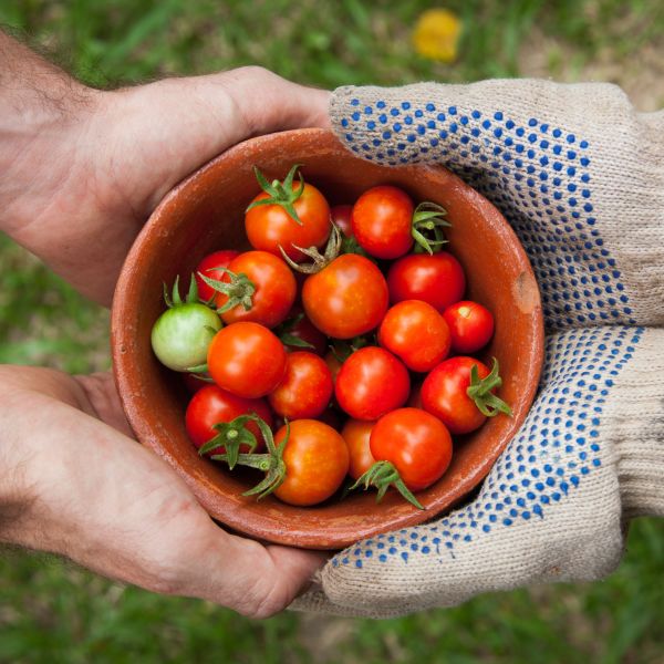 Community Garden Group