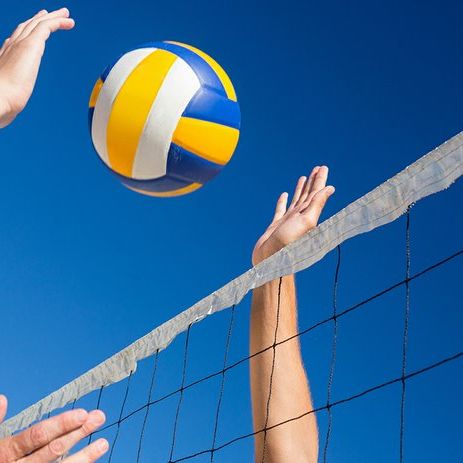 Volleyball Club