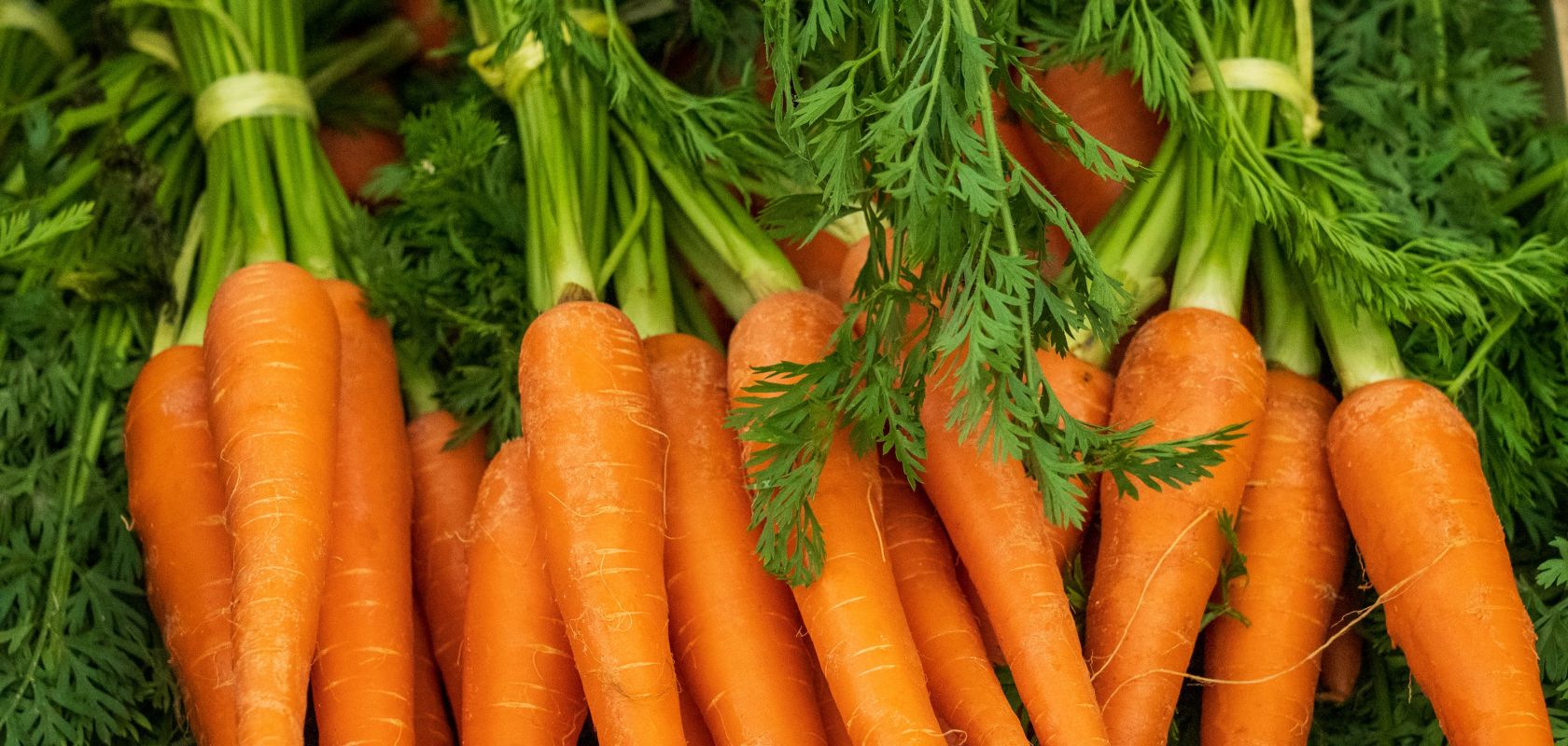 How Do I Cook Carrots? Arc UNSW Student Life