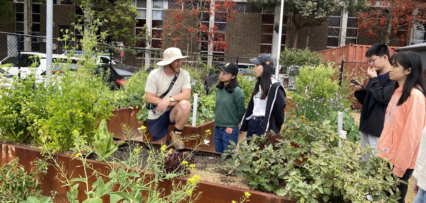 Pocket City Farms Notes Arc UNSW Student Life