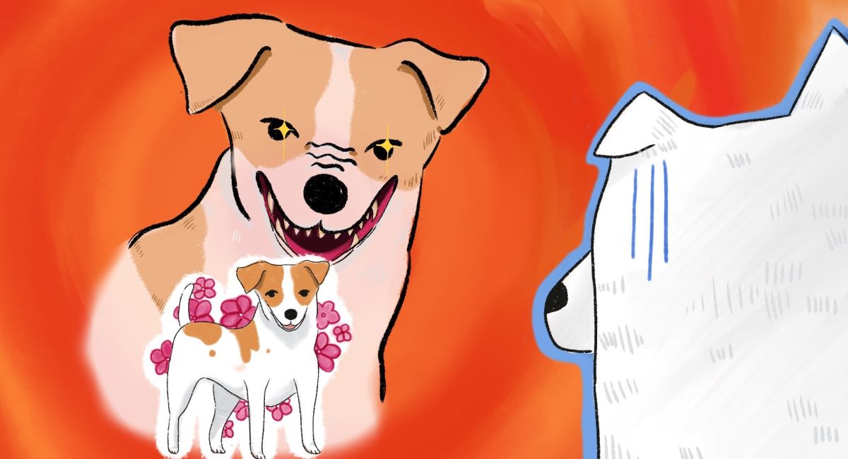 Why Are Small Dogs Not Scared of Big Dogs? Arc UNSW Student Life