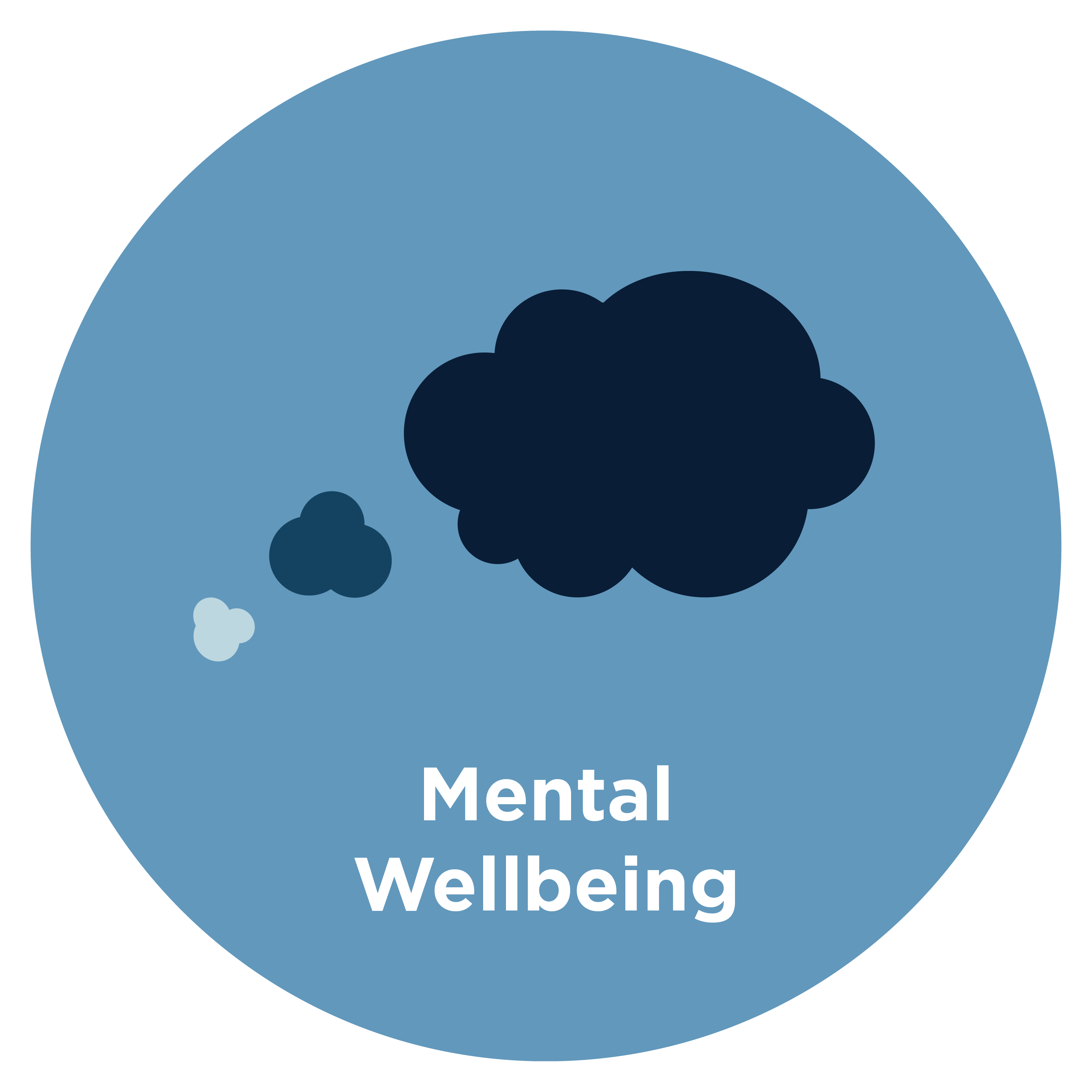 Mental Wellbeing